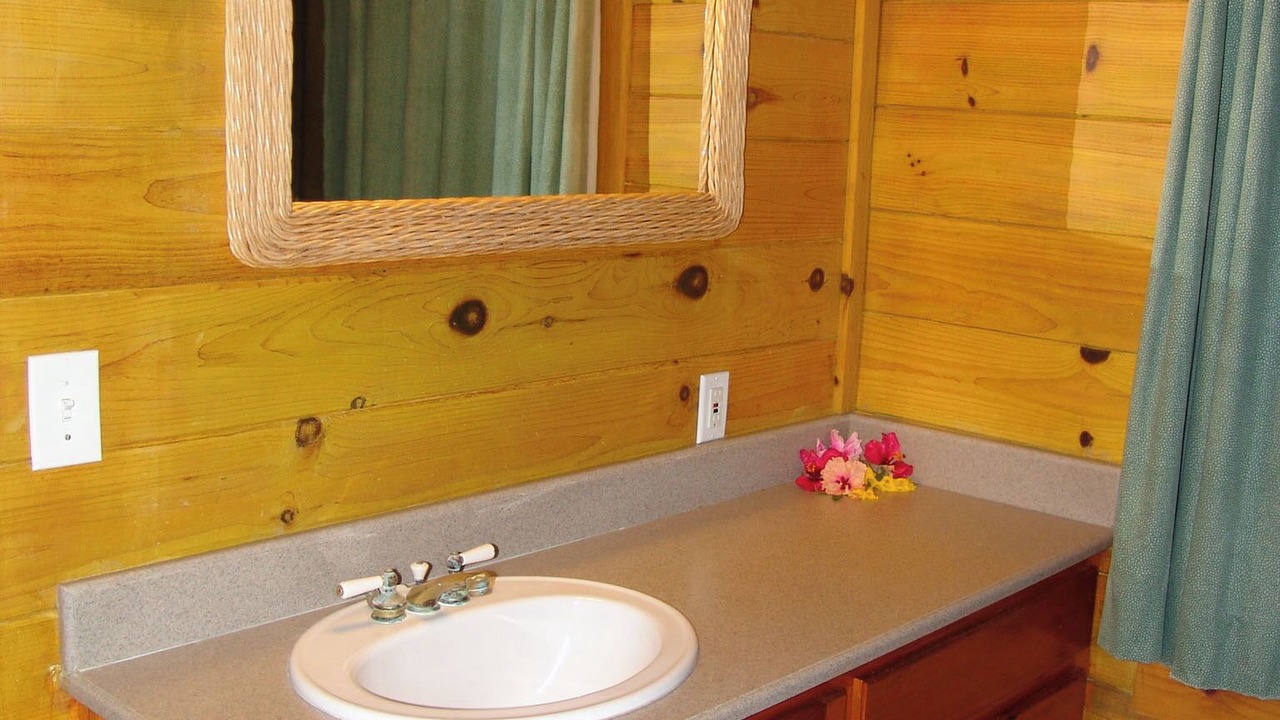 Photo of Bathroom in Gregory Town