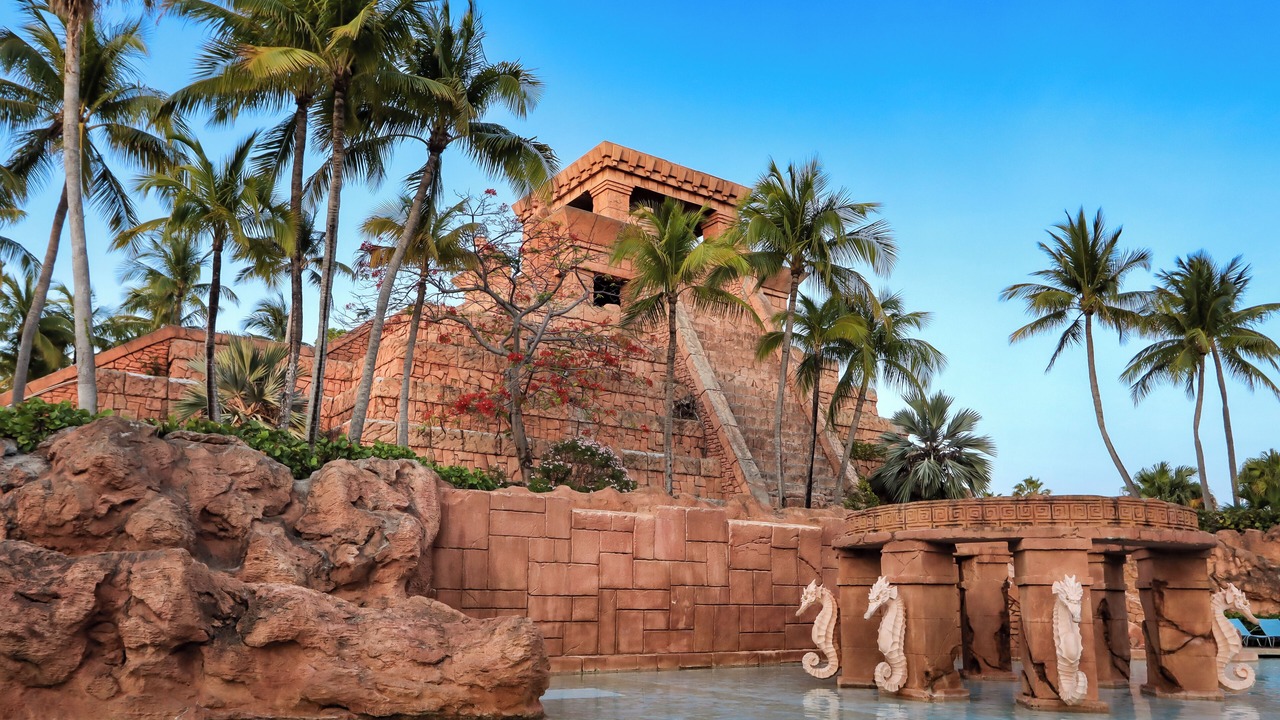Photo of Others in Paradise Island