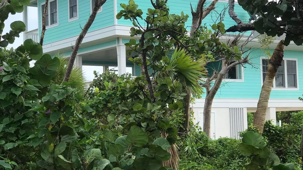 Photo of Others in Green Turtle Cay