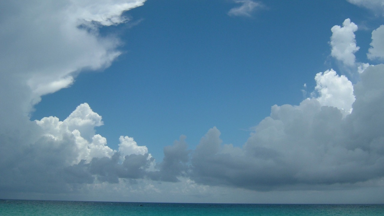 Photo of Others in South Palmetto Point