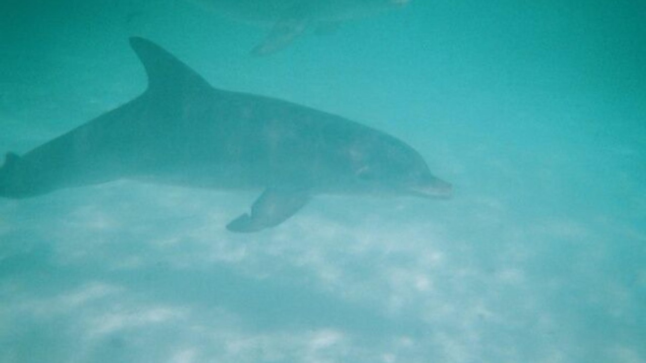 Photo of Others in Governor's Harbour