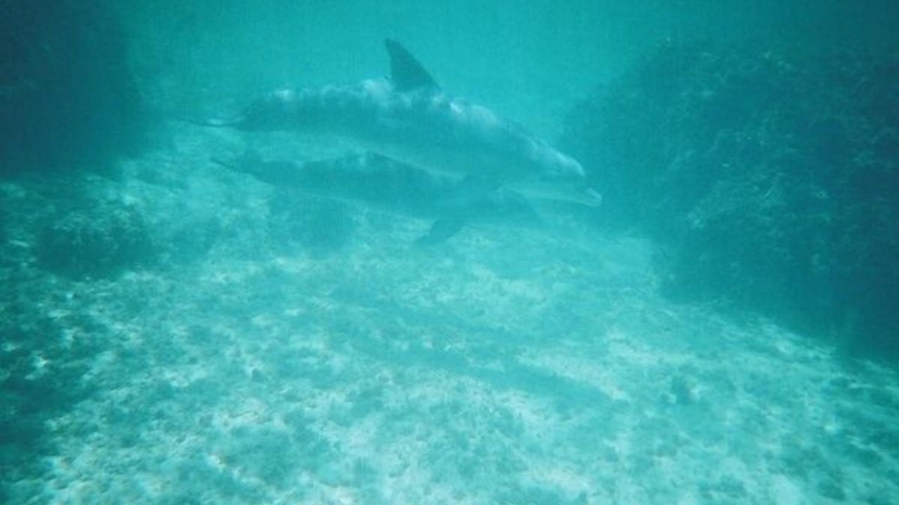 Photo of Others in Governor's Harbour