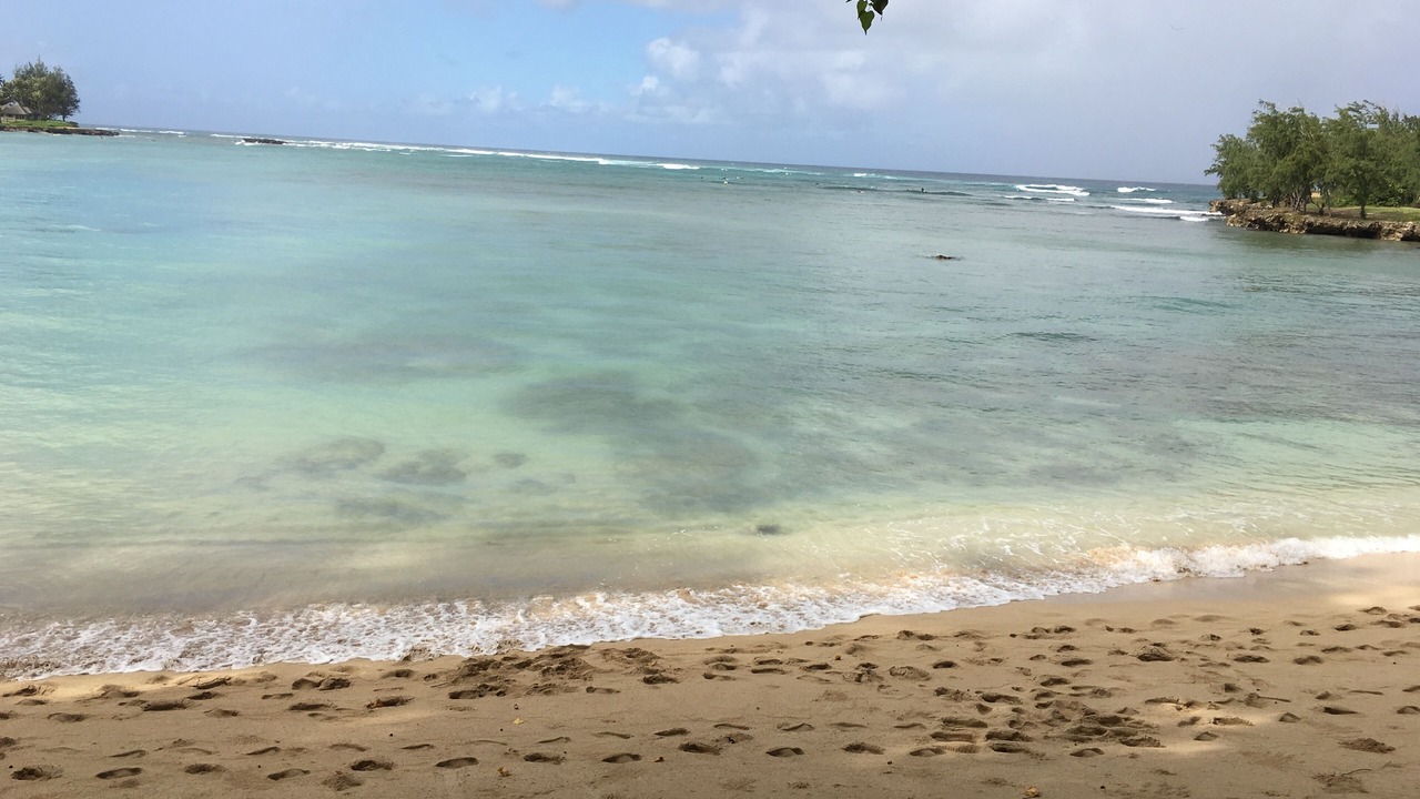 Photo of Others in Kahuku