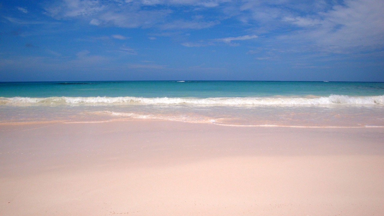 Photo of Others in North Palmetto Point