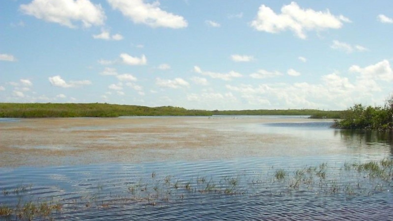 Photo of Others in James Cistern