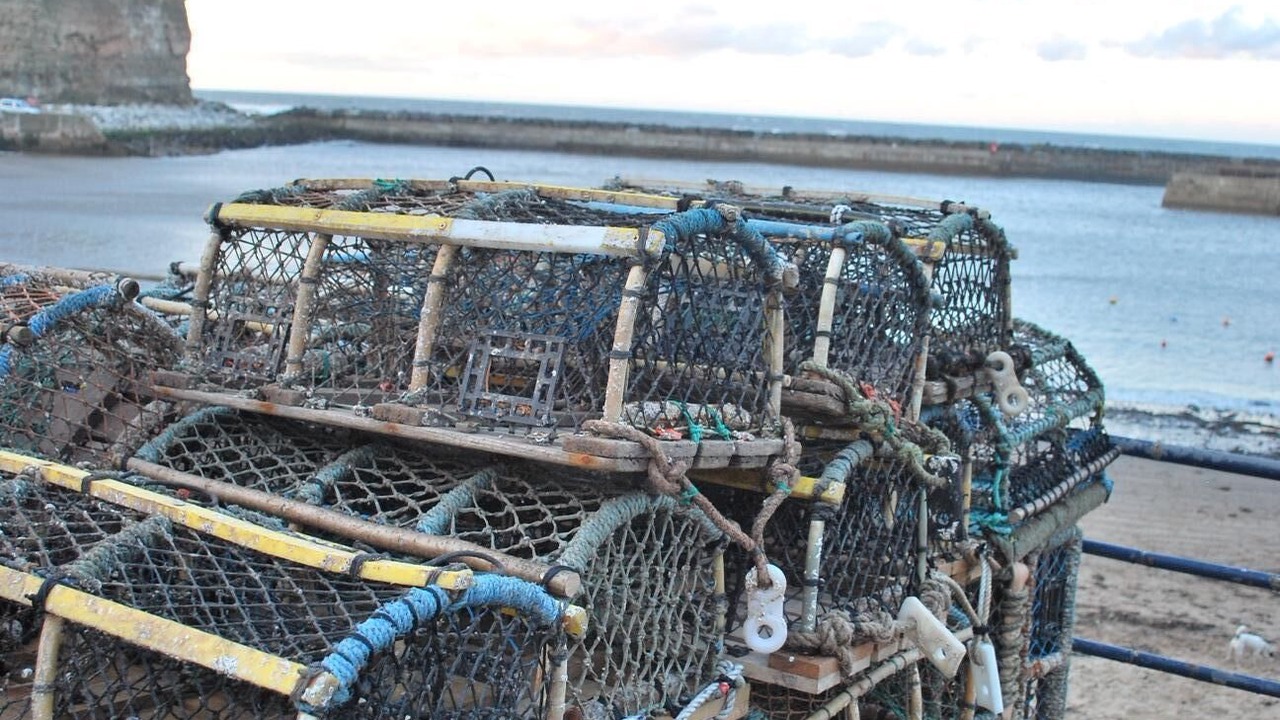 Photo of Others in Staithes