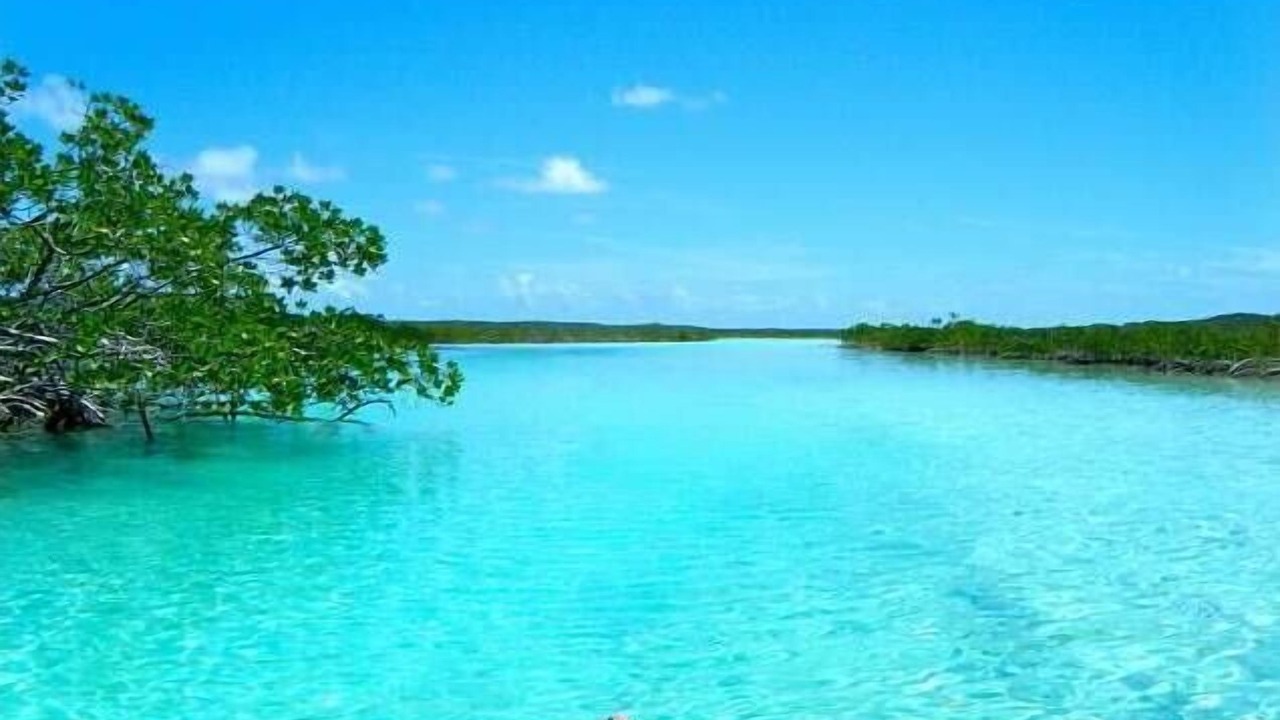 Photo of Others in Pigeon Cay