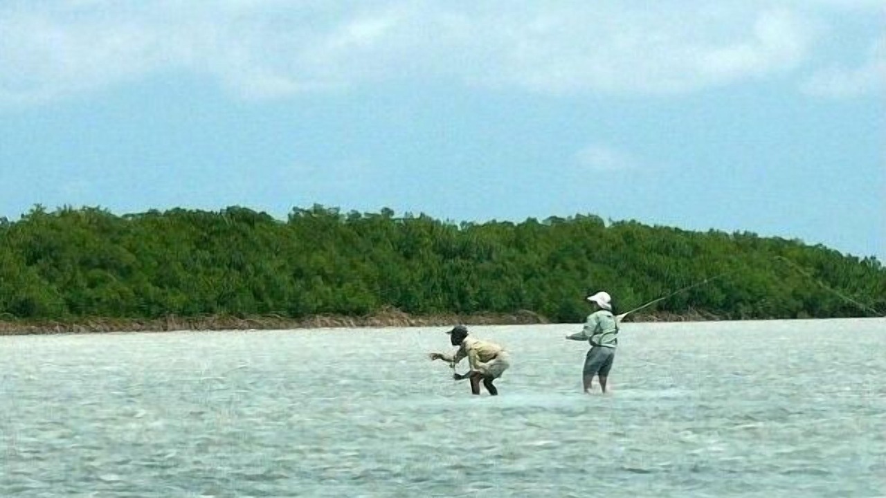 Photo of Others in Pigeon Cay