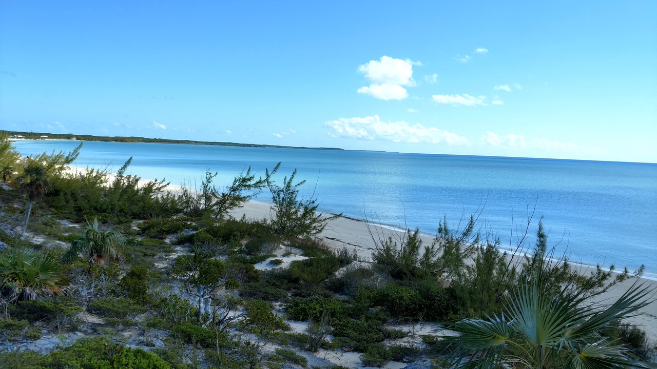 Photo of Others in Pigeon Cay