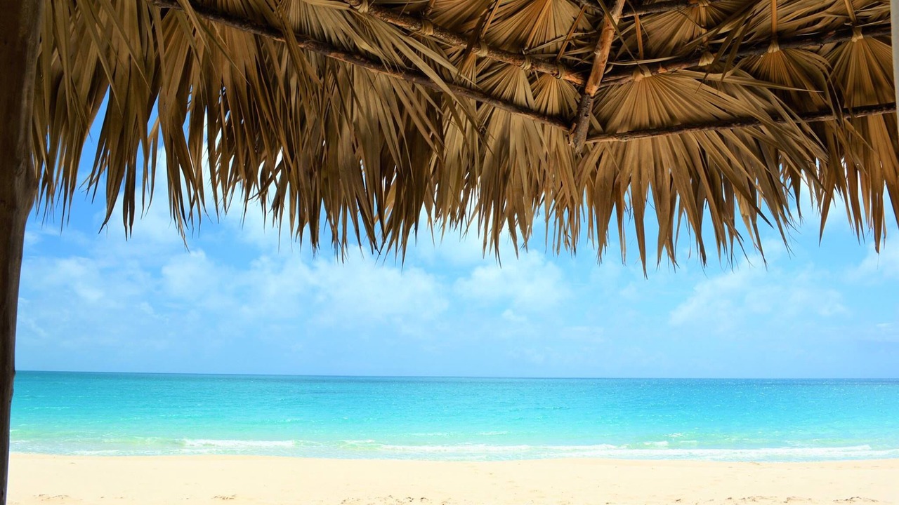 Photo of Others in Pigeon Cay