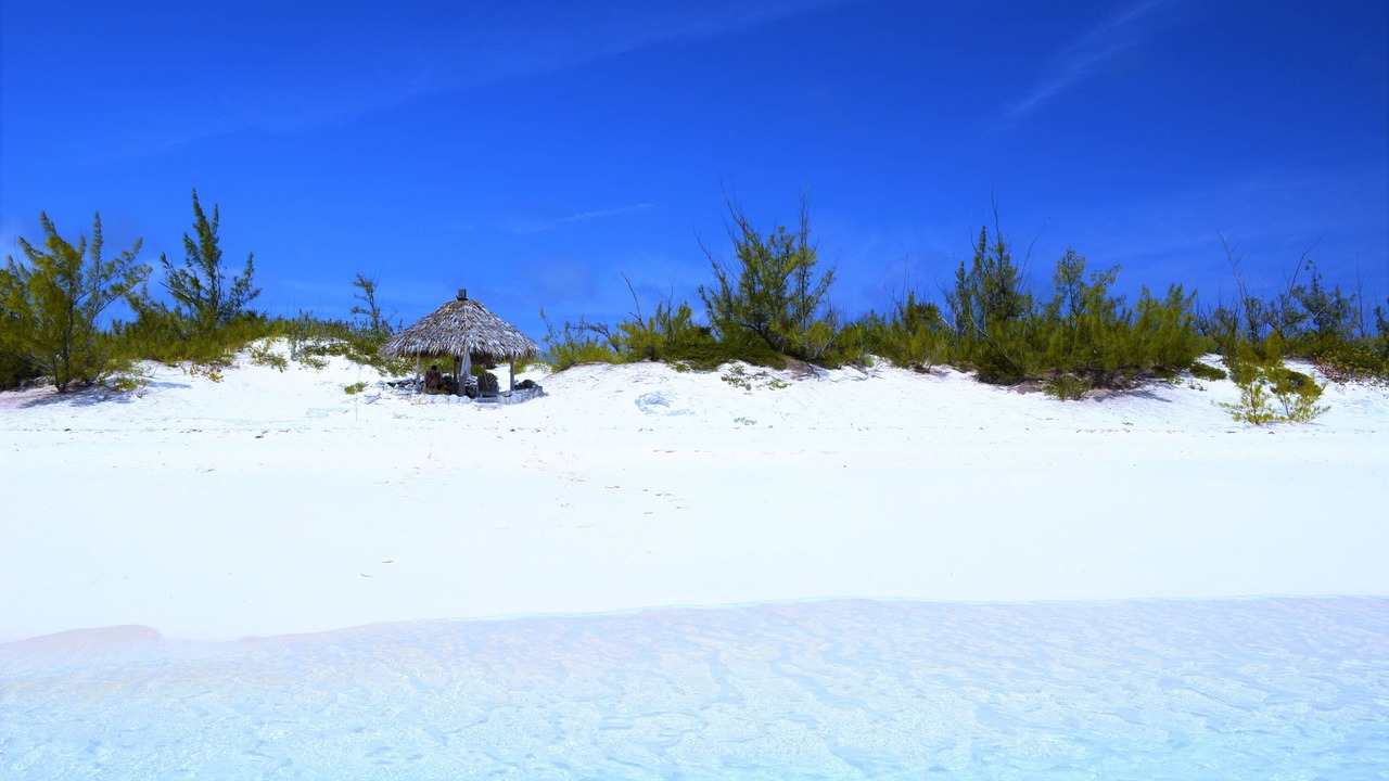 Photo of Others in Pigeon Cay