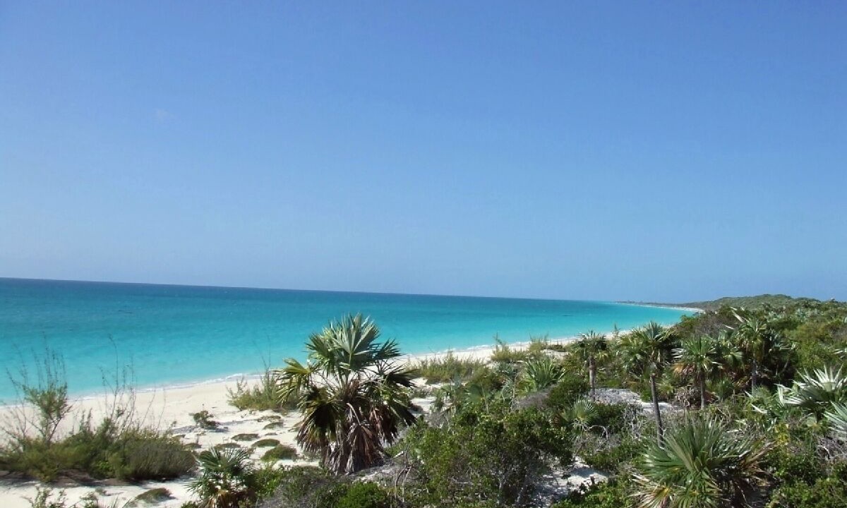 Photo of Others in Pigeon Cay