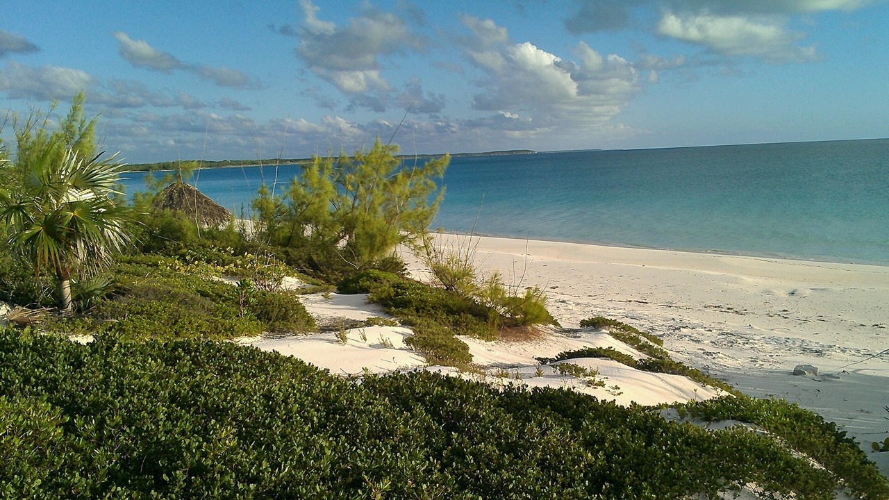 Photo of Others in Pigeon Cay