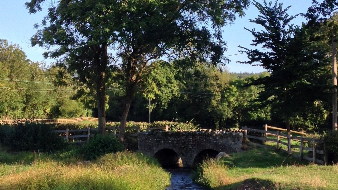 Photo of Others in Axminster
