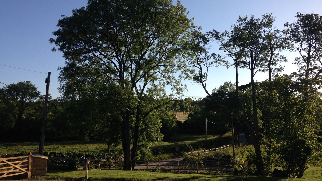 Photo of Outdoor in Axminster