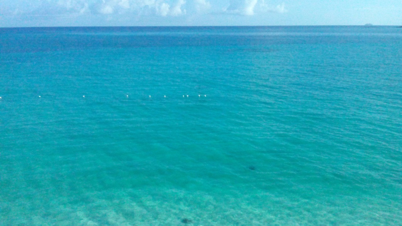 Photo of Others in Nassau