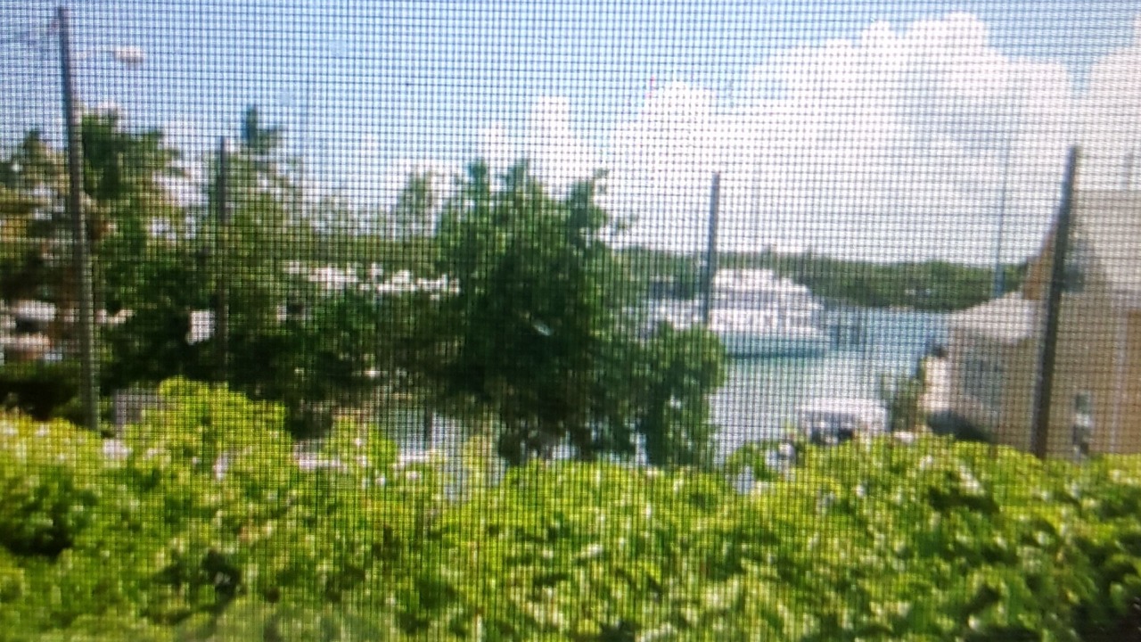 Photo of Others in Man O War Cay