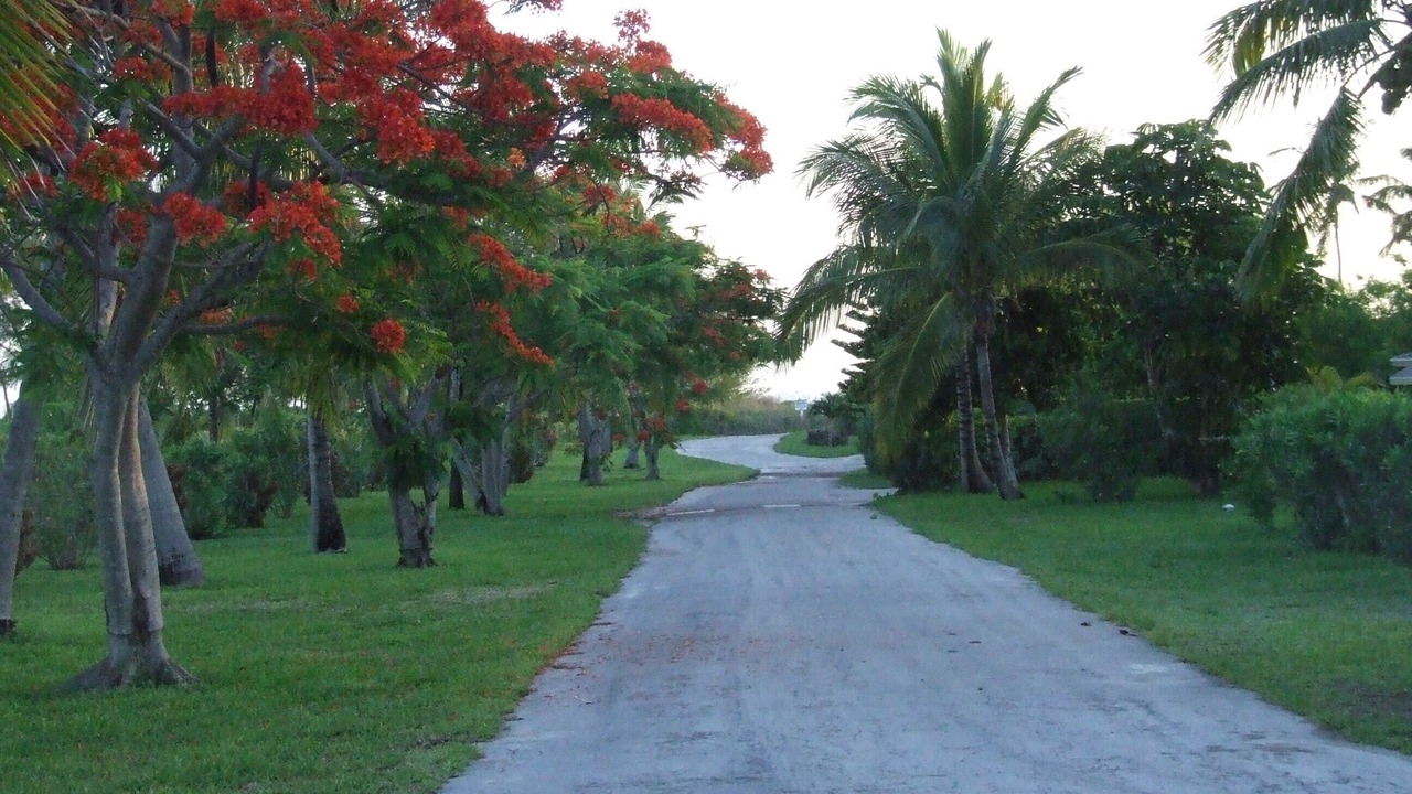 Photo of Others in Treasure Cay