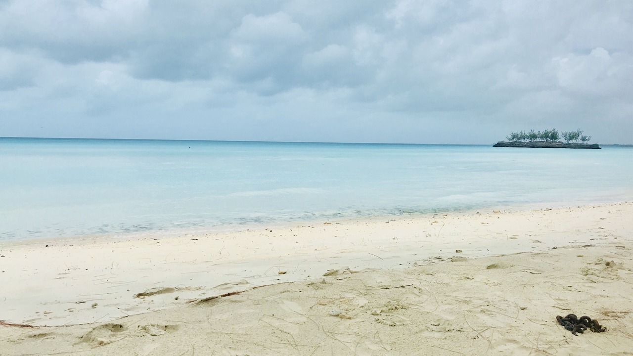 Photo of Others in Rainbow Bay