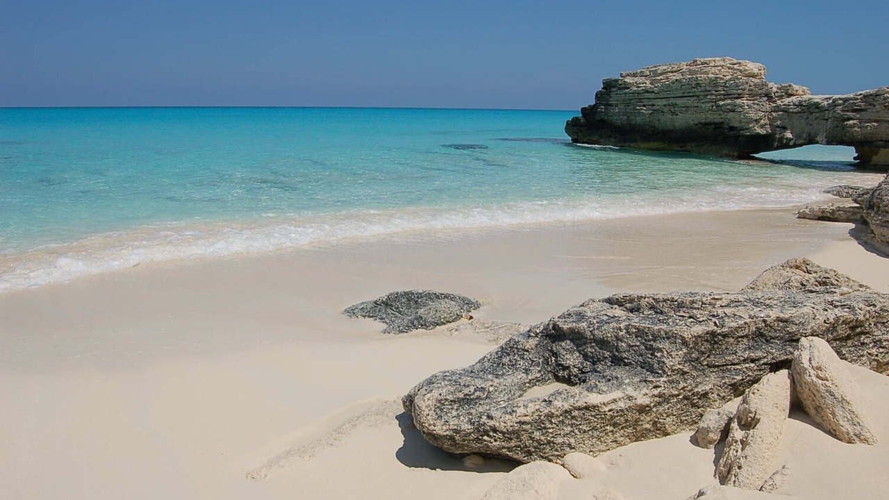 Photo of Others in Alice Town