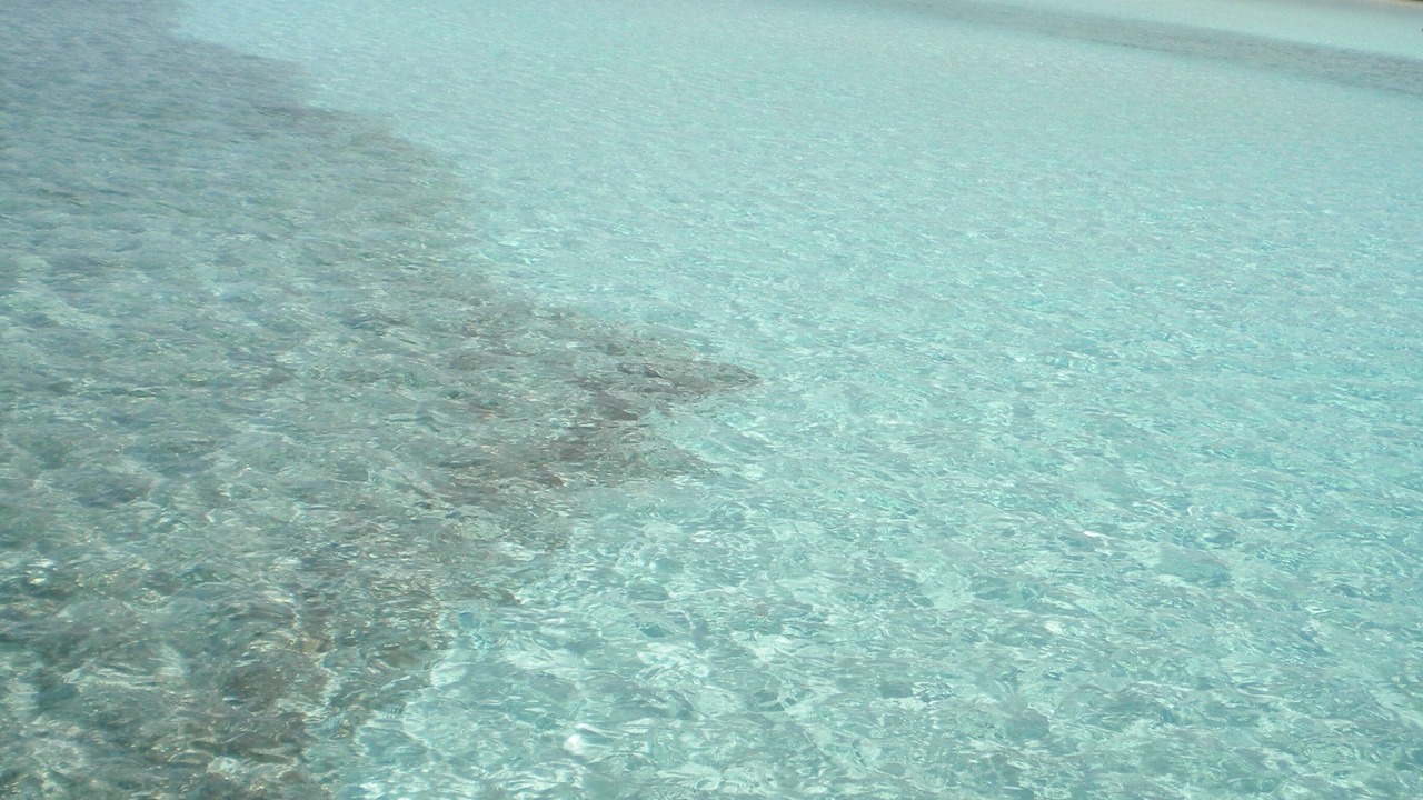 Photo of Outdoor in Cherokee Sound