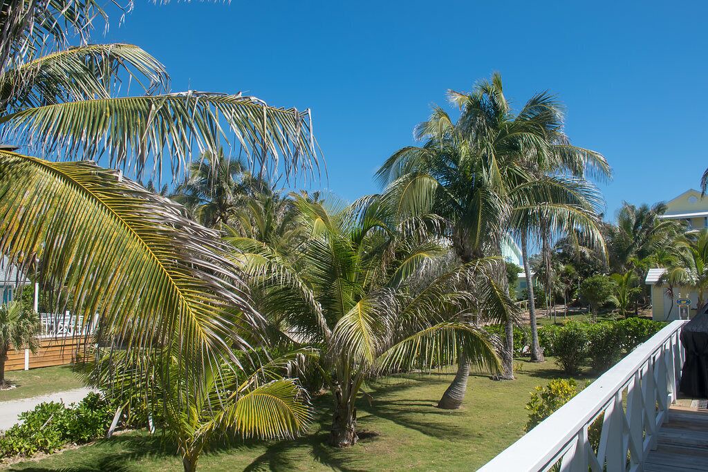 Photo of Outdoor in Hope Town