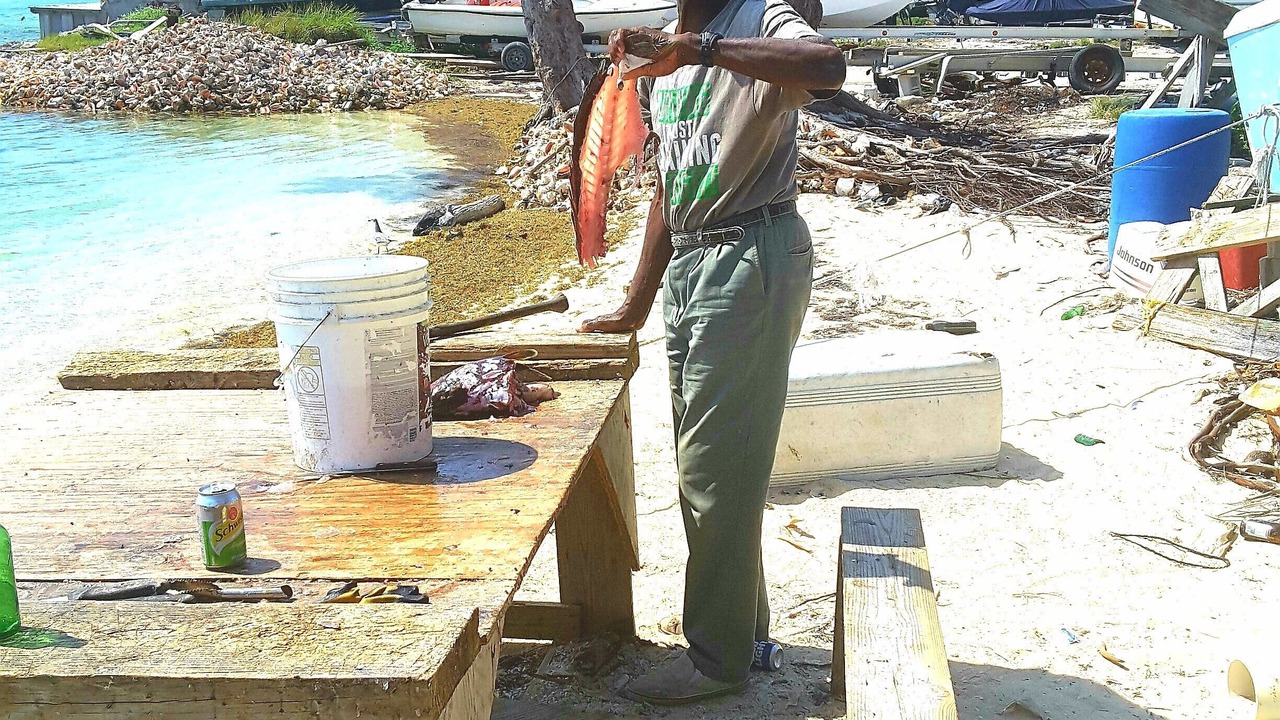 Photo of Others in Alice Town