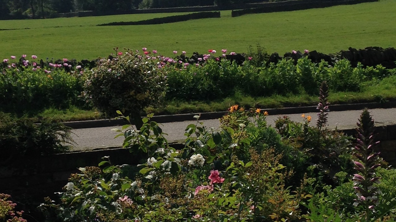 Photo of Outdoor in Hepworth
