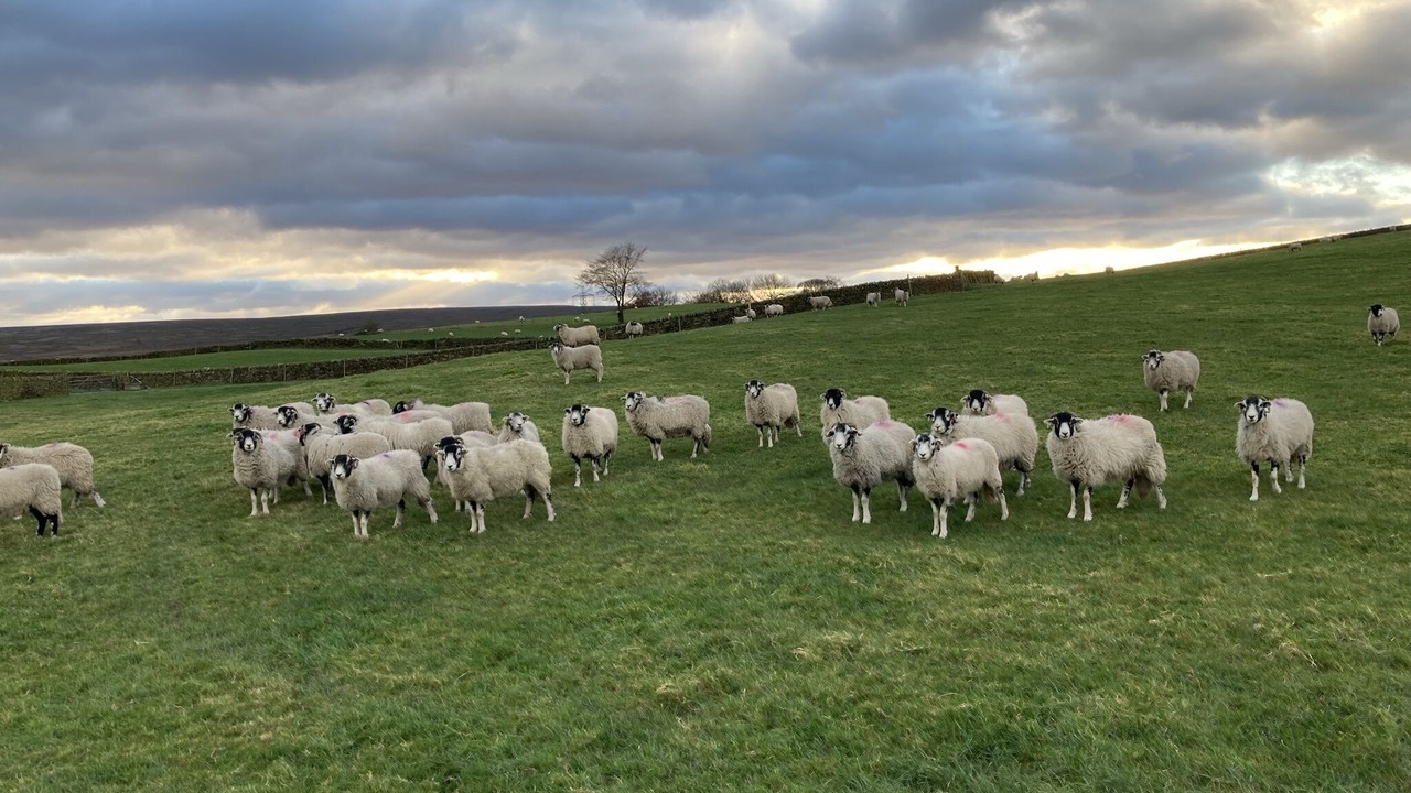 Photo of Others in Hepworth