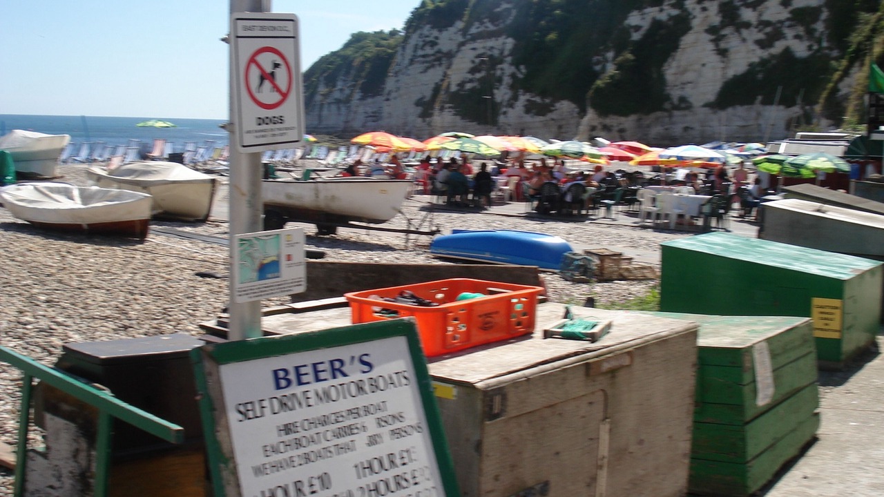 Photo of Others in Beer