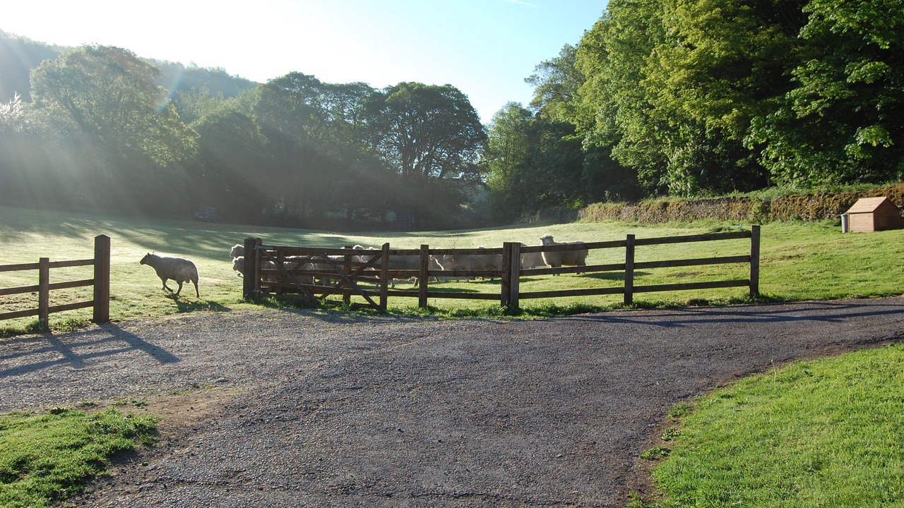 Photo of Others in Compton Abdale