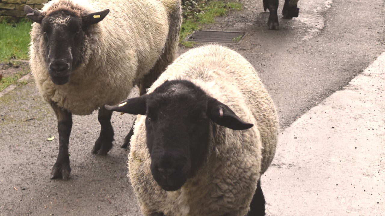 Photo of Outdoor in Compton Abdale