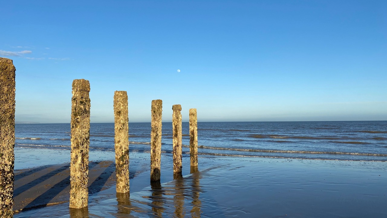 Photo of Others in Pevensey