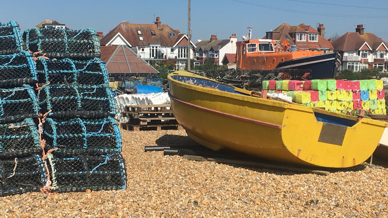 Photo of Others in Pevensey