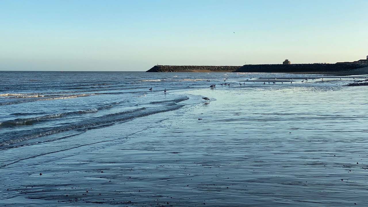 Photo of Others in Pevensey