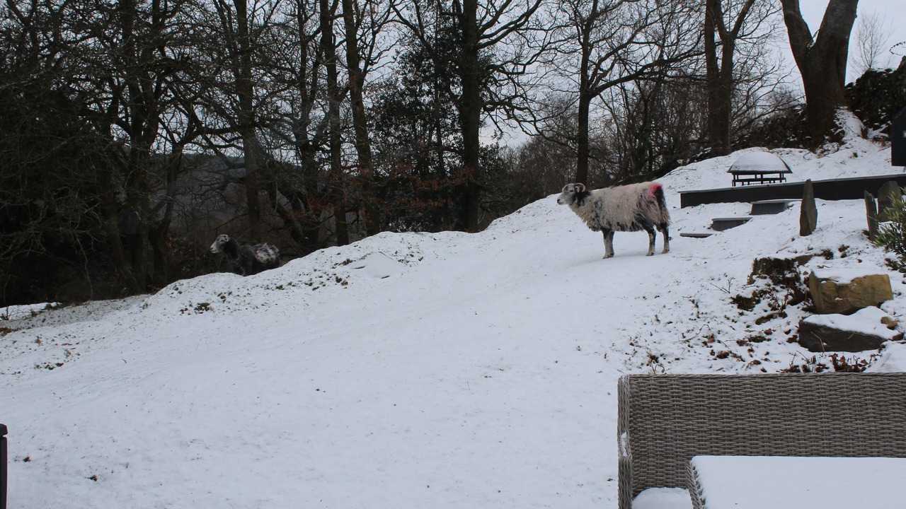 Photo of Outdoor in Broughton Mills