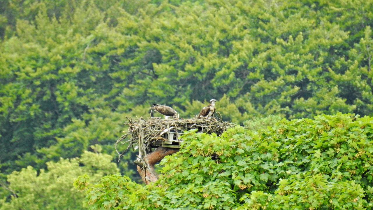 Photo of Others in Ambleside