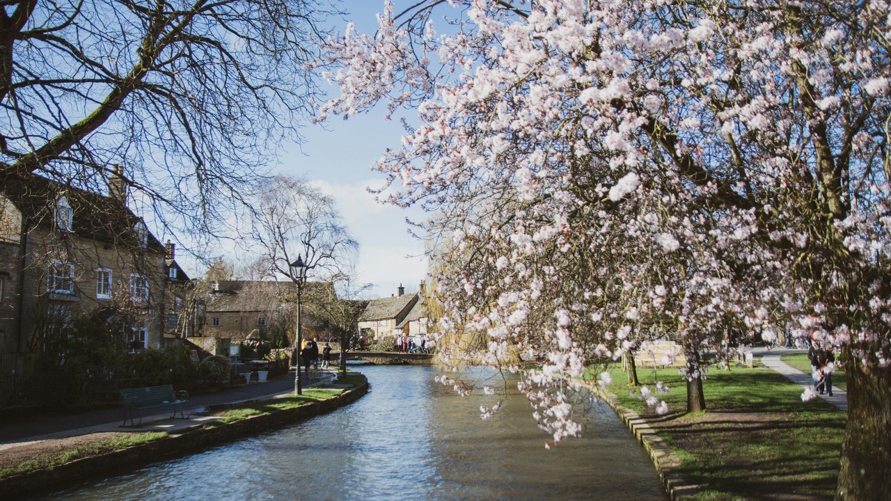 Photo of Others in Bourton