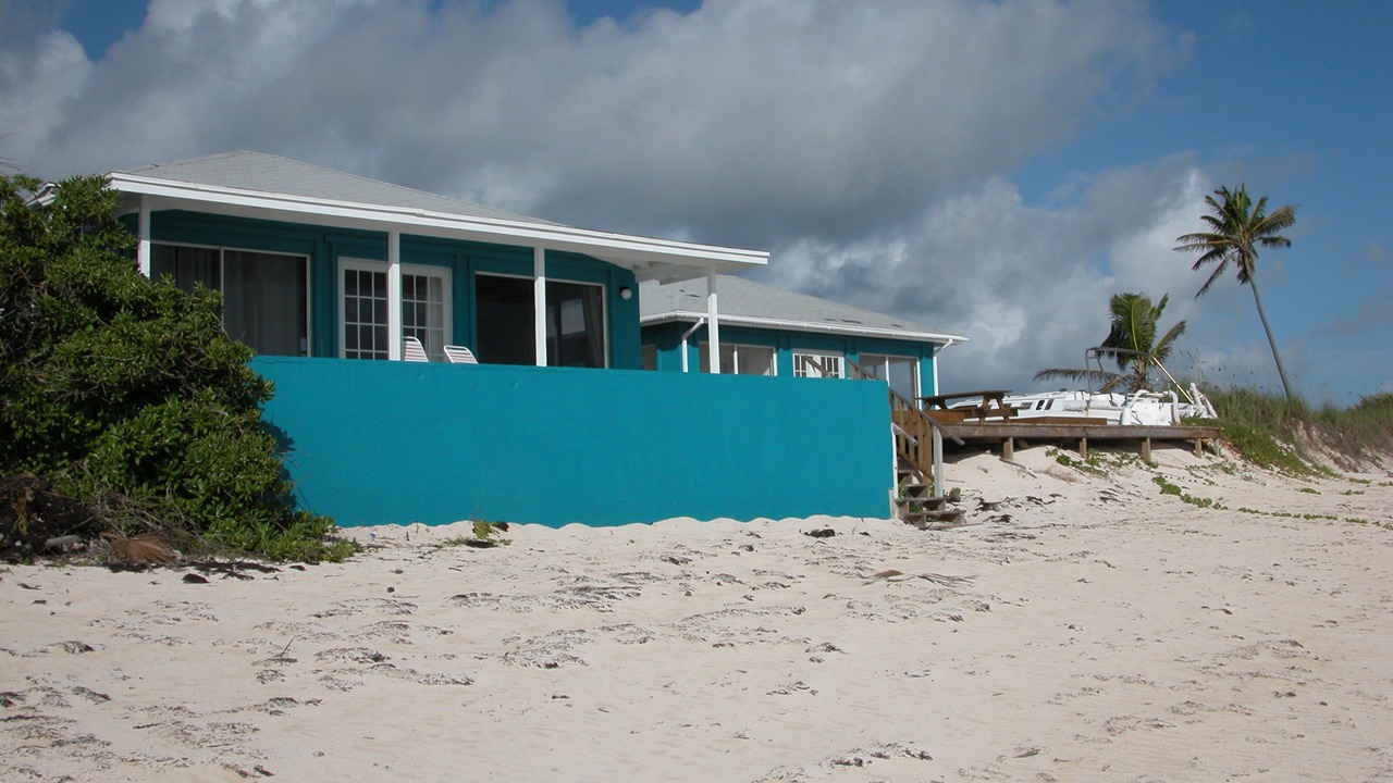 Photo of Others in Double Bay