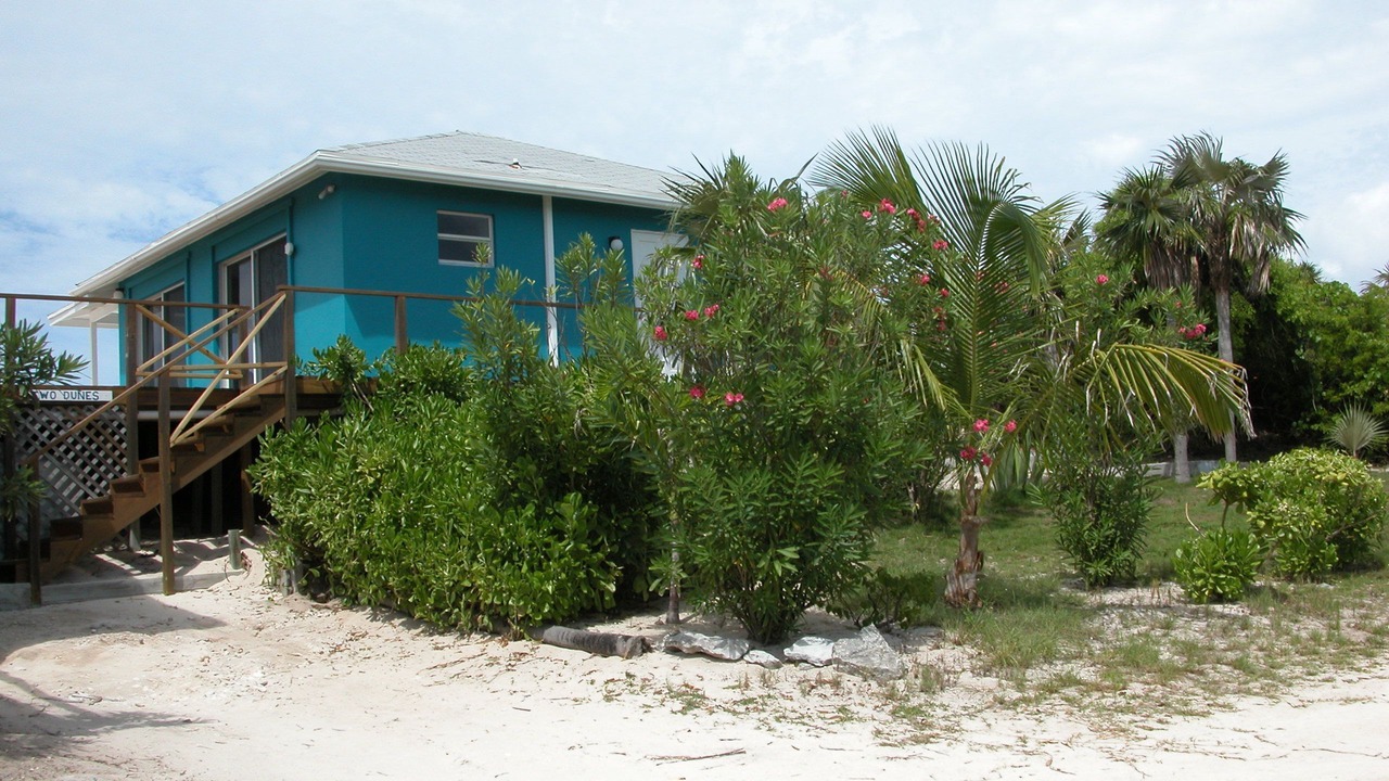Photo of Outdoor in Double Bay
