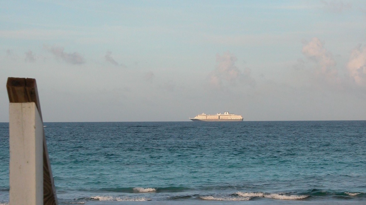 Photo of Others in Double Bay
