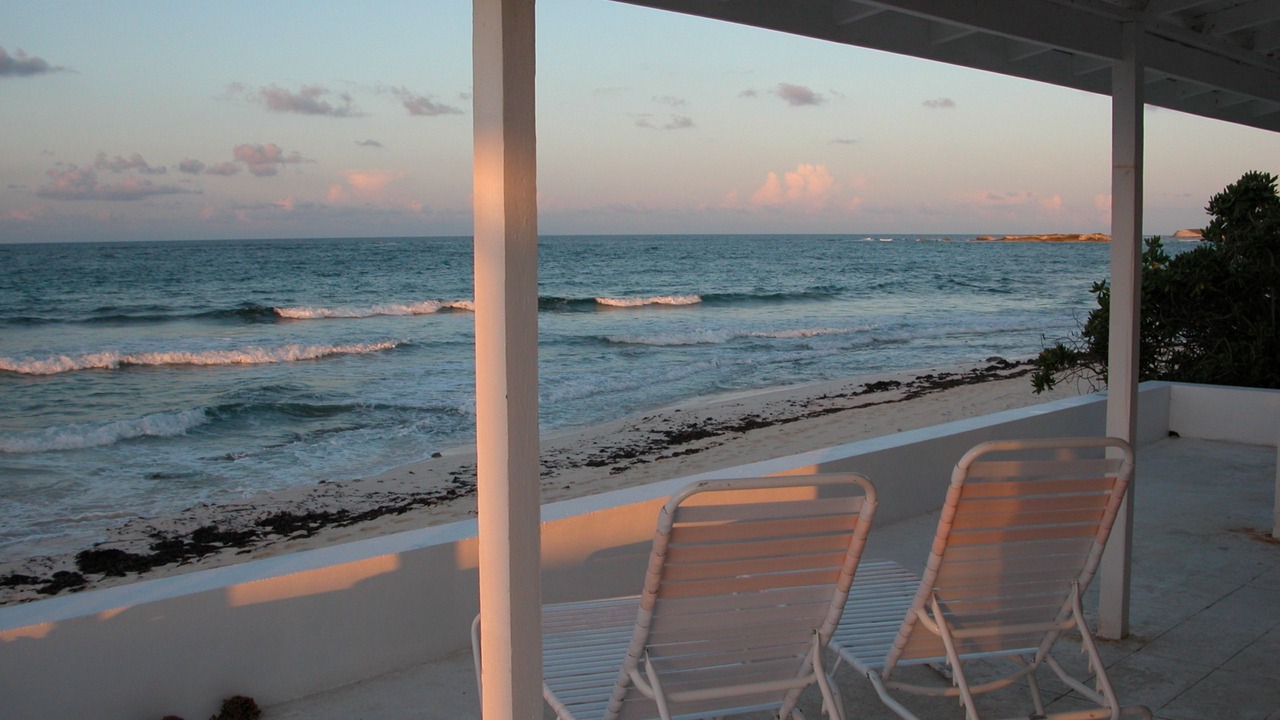 Photo of Others in Double Bay