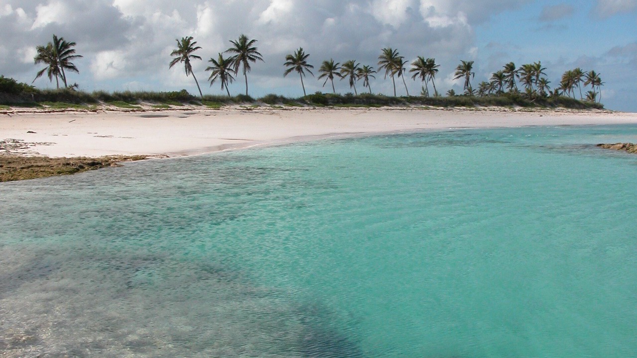 Photo of Outdoor in Double Bay