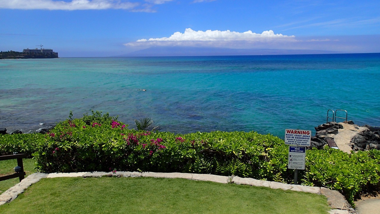 Photo of Others in Honokowai