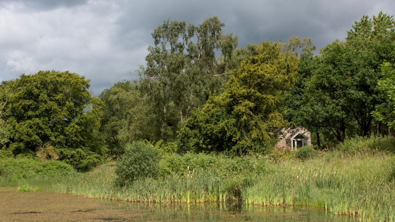Photo of Outdoor in Hallington