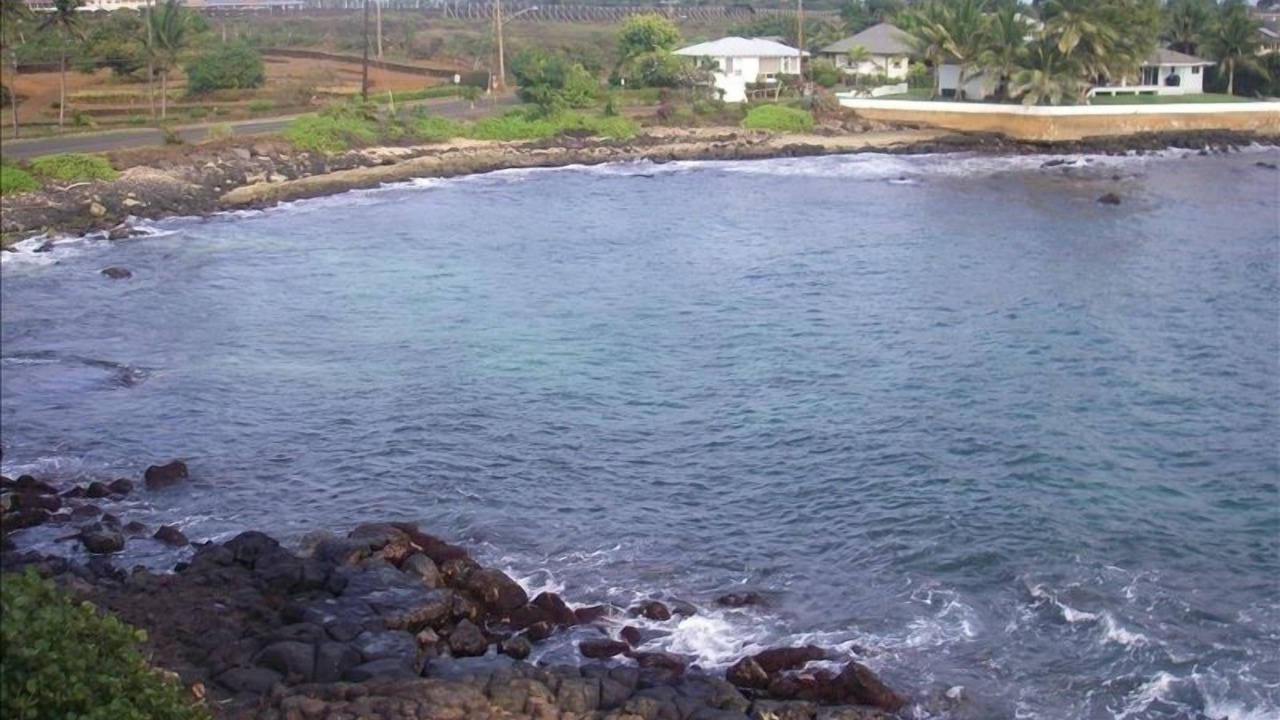 Photo of Others in Poipu