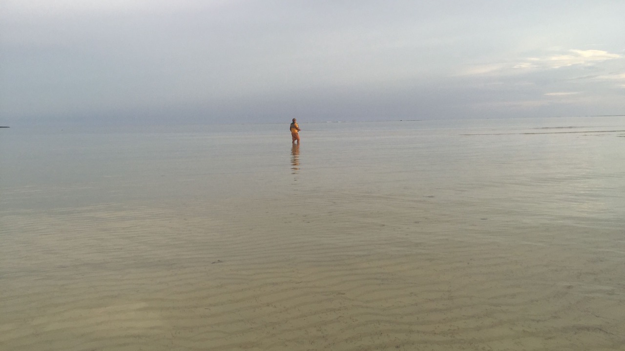 Photo of Others in Cherokee Sound