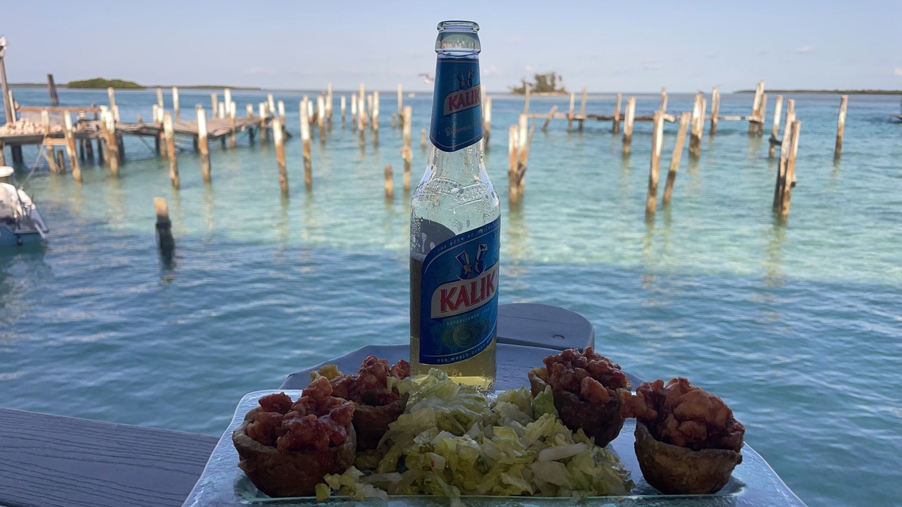 Photo of Others in Alice Town
