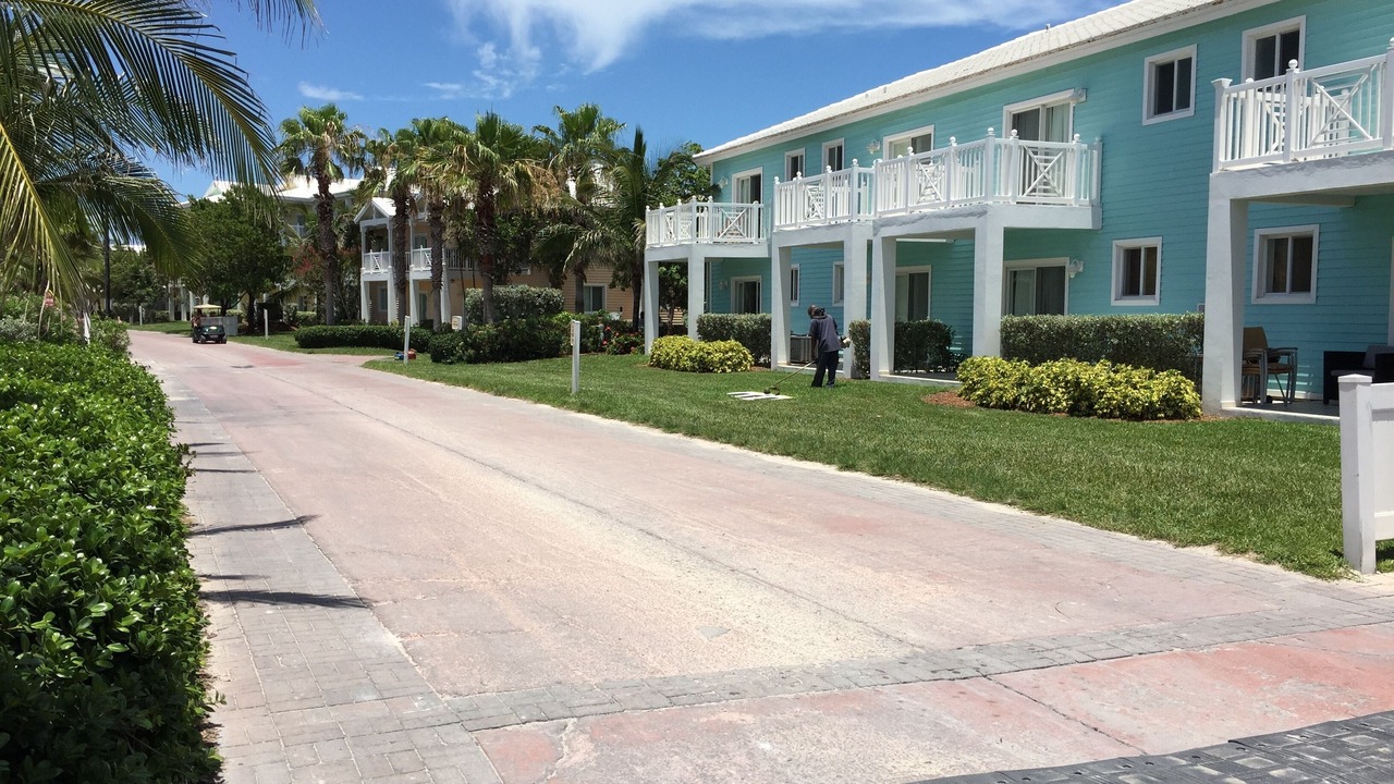 Photo of Outdoor in Alice Town
