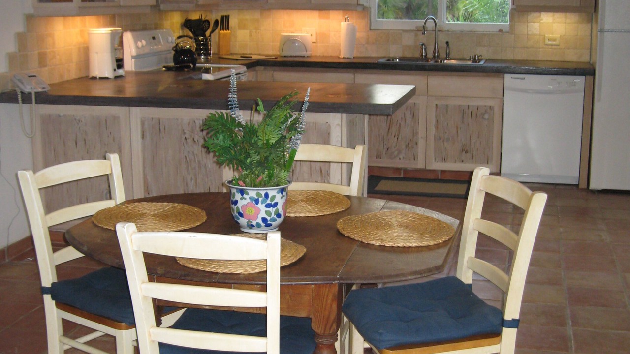 Photo of Kitchen in Double Bay